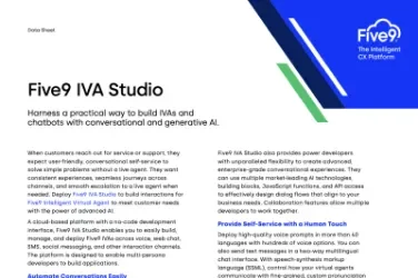 iva studio